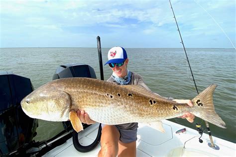 catching the big fish|How To Catch GIANT Bull Redfish Under Bridges .